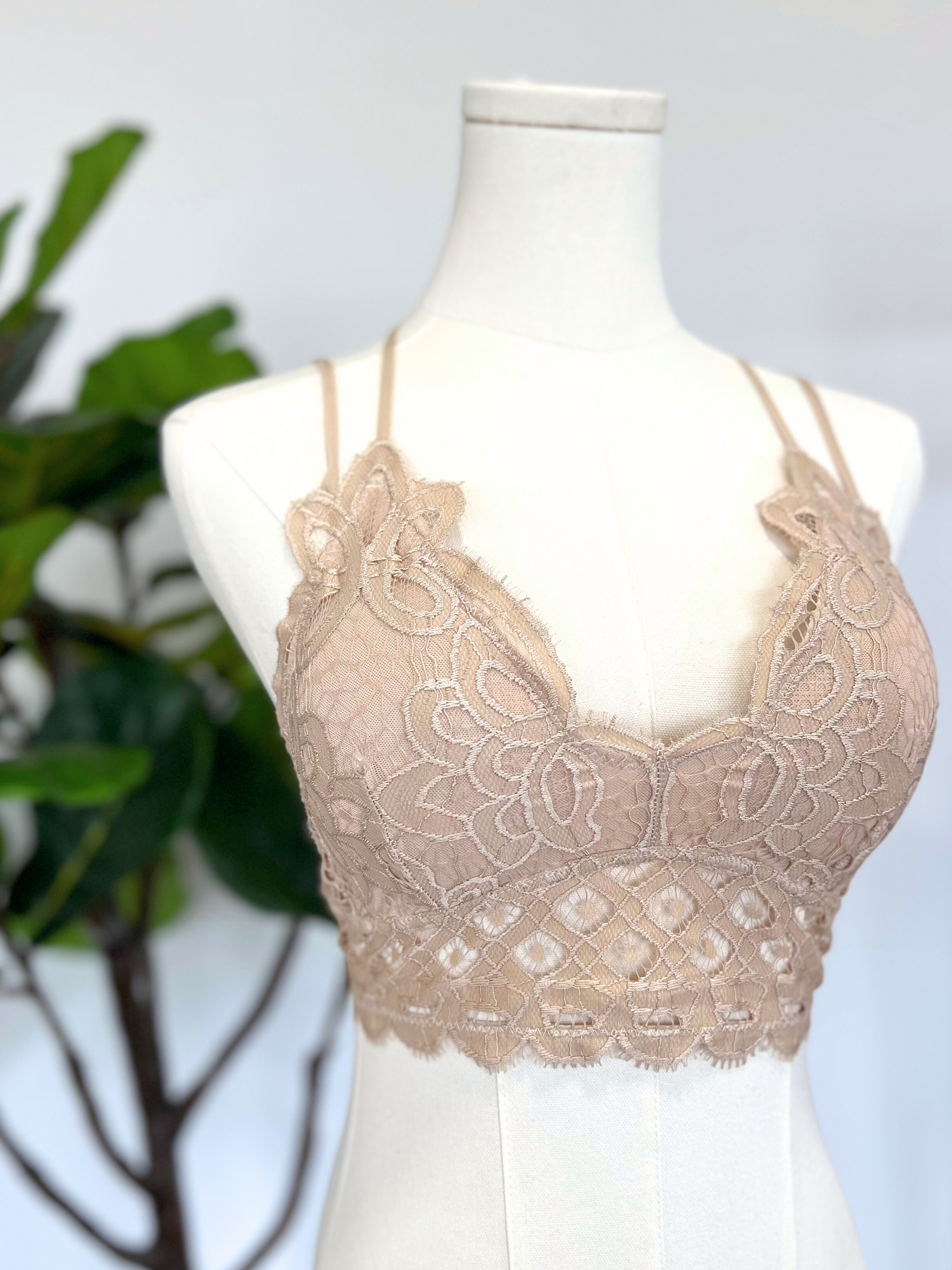 The Paris at Night Lace Bralette - Light Taupe